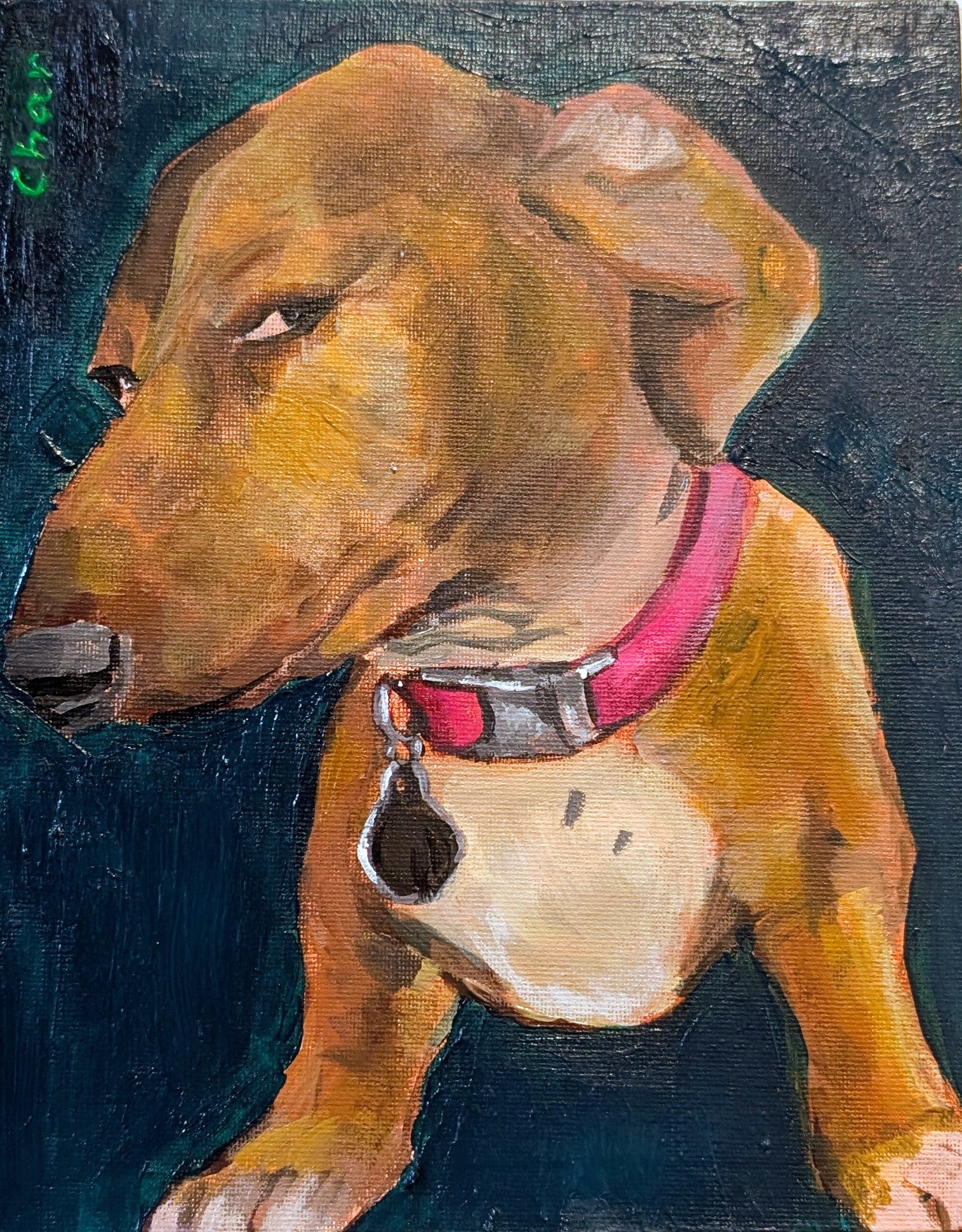Sus dog